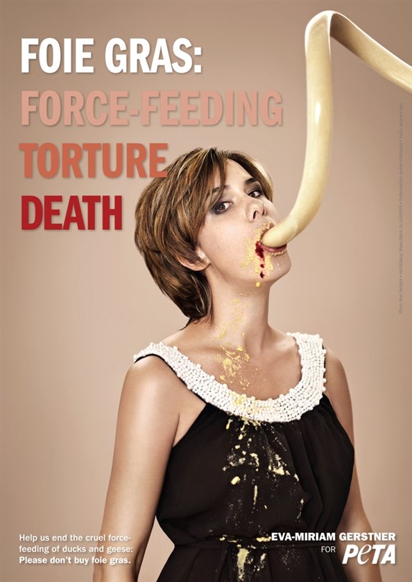 Foie Gras Ban